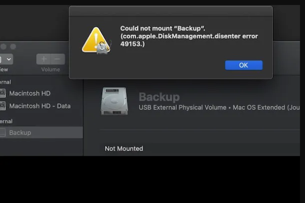 com.apple.diskmanagement.disenter error
