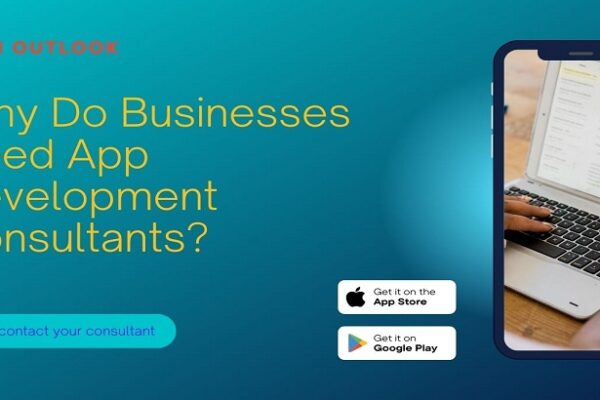 Businesses Need App Development Consultants