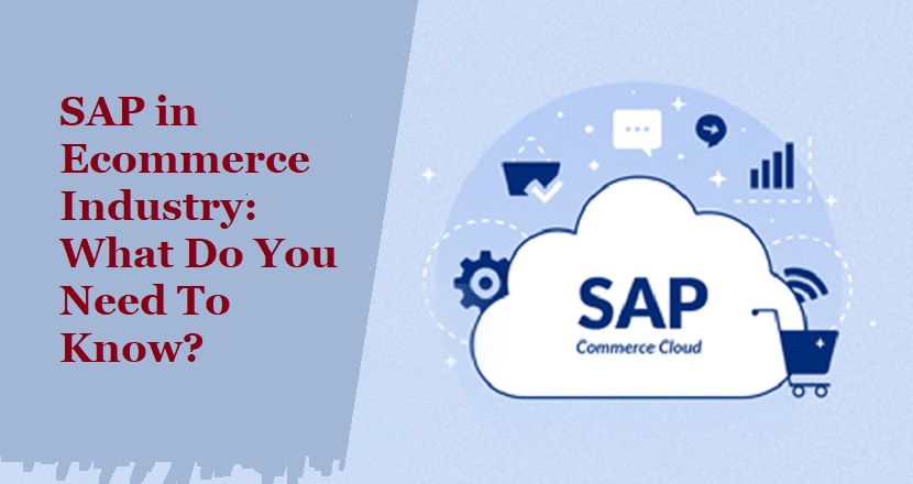SAP in Ecommerce Industry